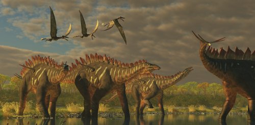 How did birds survive while dinosaurs went extinct?
