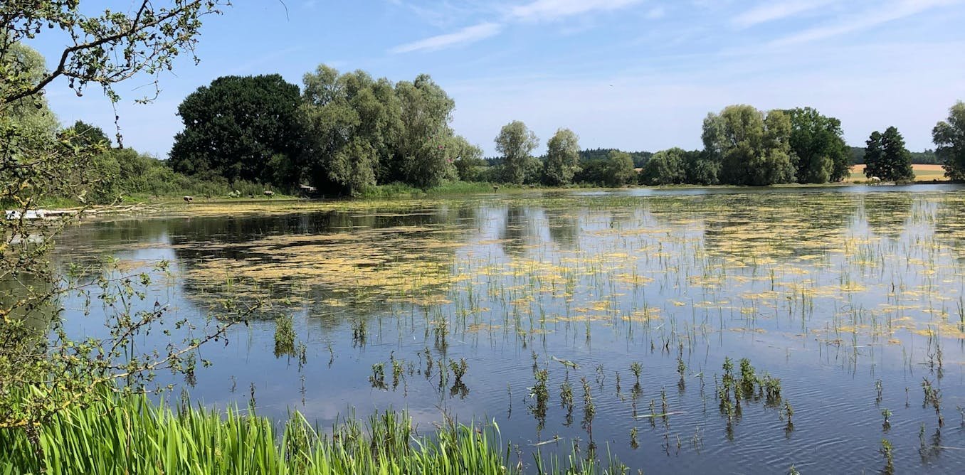Les fantômes des pesticides hantent nos environnements pour longtemps