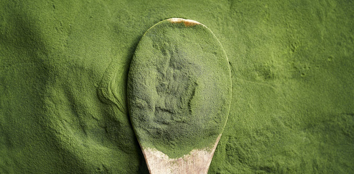Microalgues pour l’alimentation humaine : comment mieux les produire