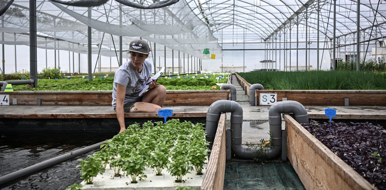Quel rôle pour la production hors-sol dans l’agriculture de demain ?