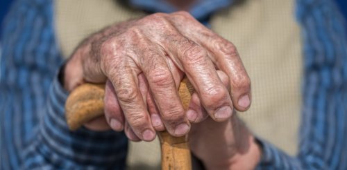 ‘Anti-ageing’ protein shown to slow cell growth is key in longevity – new research