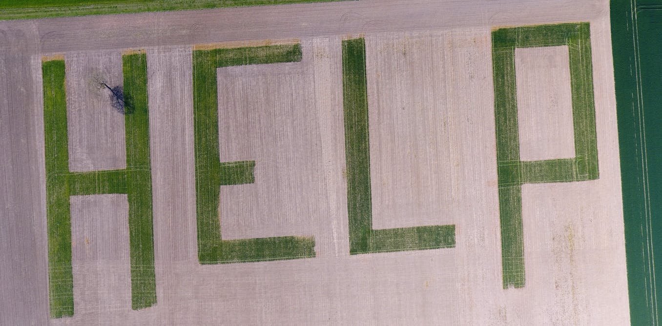 Mal-être au champ : pourquoi les agriculteurs sont-ils plus à risque de suicide ?