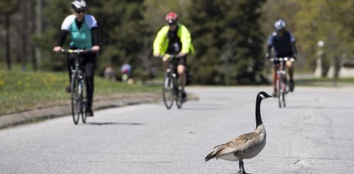 Canada Day: Why renaming roads and how we tell stories matter for reconciliation
