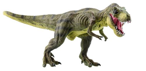 Why did Tyrannosaurus rex have such short arms?