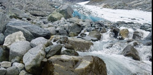 Fonte des glaciers : une diversité biologique invisible menacée