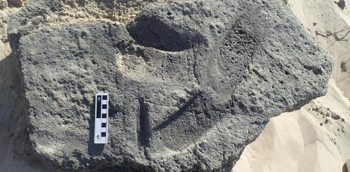 Ancient shoes: tracks on a South African beach offer oldest evidence yet of human footwear