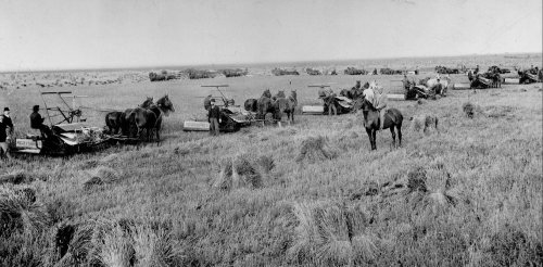 ‘Cows and plows:’ The settlement over a broken Indigenous treaty shows the urgent need for more transparent governance