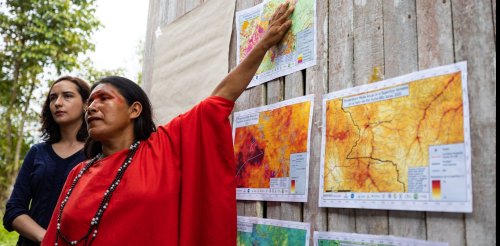 Defensores indígenas ficam entre estradas ilegais e sobrevivência da floresta amazônica – o segundo turno das eleições no Brasil pode ser um ponto de virada