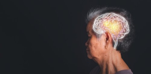 Alzheimer : au cœur de l’interaction entre l’insuline et les vaisseaux sanguins du cerveau