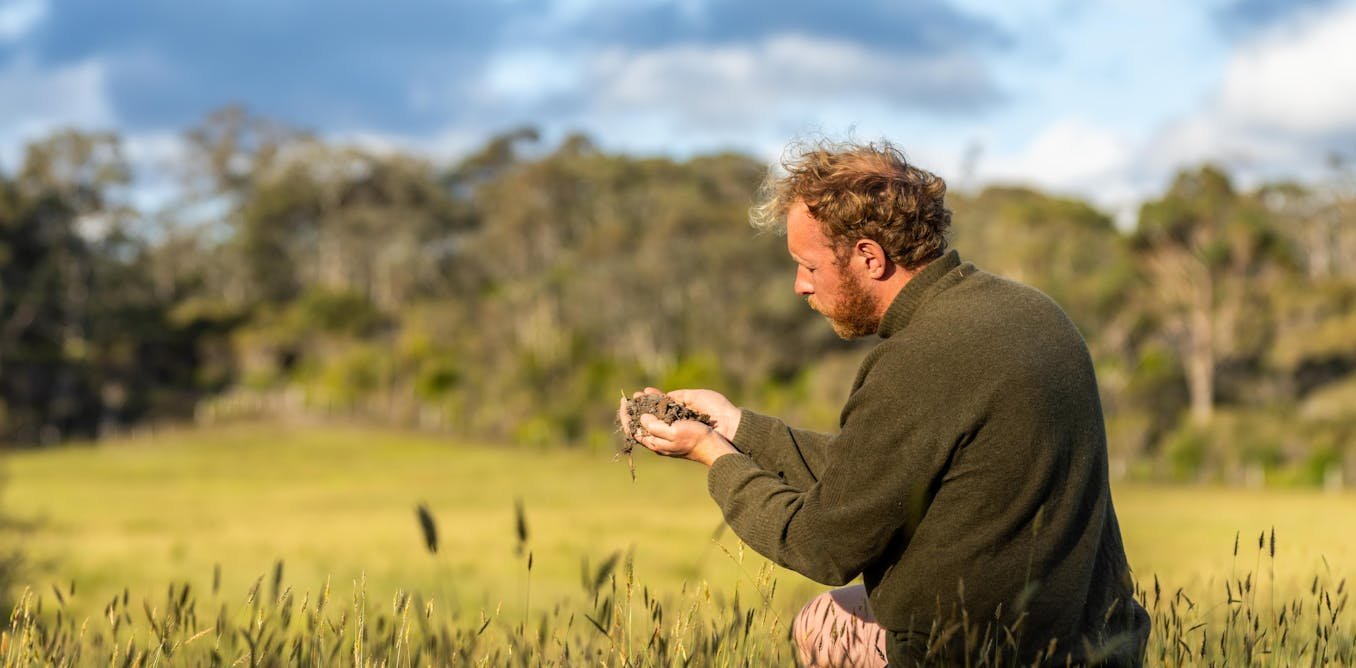 Retour à la terre : qui sont ces actifs en quête de reconversion agricole ?