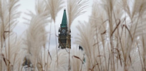 Rookie MPs face unique challenges in the 44th Canadian Parliament