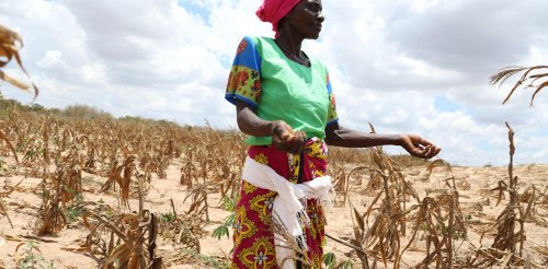 Climate crisis in Africa exposes real cause of hunger – colonial food systems that leave people more vulnerable