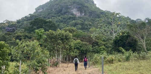 In a Colombian national park, pictographs and pristine nature point the way toward a more hopeful future
