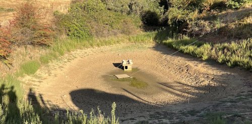 Adelaide Hills water crisis: a local problem is a global wake-up call