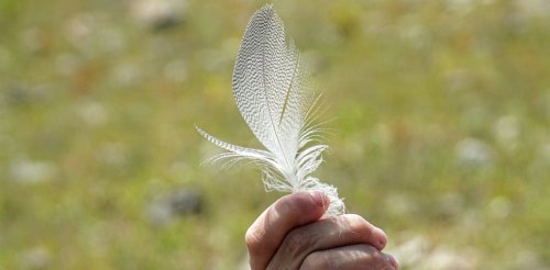 Pourquoi ne peut-on pas se chatouiller soi-même ?