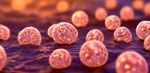 La résistance aux antibiotiques remonte à plusieurs millions d’années : quels enseignements en tirer ?