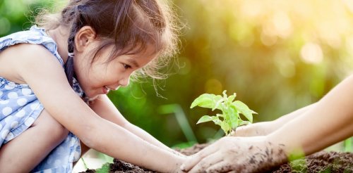 How children are helping to make their families more eco-friendly – new research