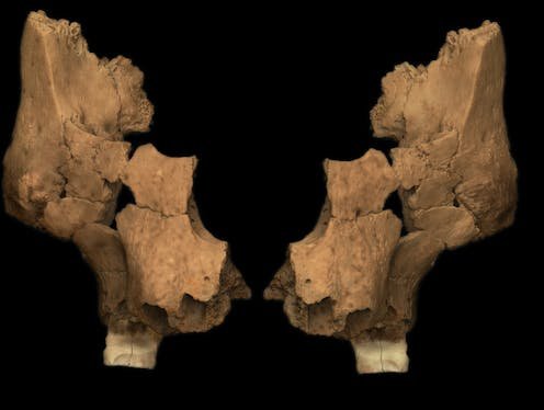 Western Europe’s oldest human face discovered in Spain