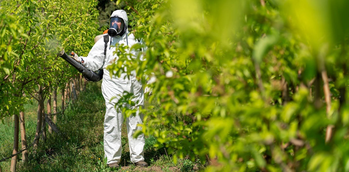 Pesticides : quand les équipements censés protéger exposent davantage