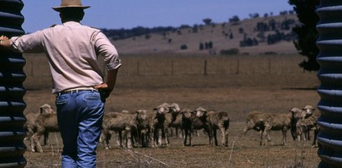 Drought increases rural suicide, and climate change will make drought worse