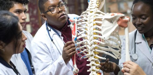 Mobile app offers new learning tools for anatomy students. But tech isn't a silver bullet