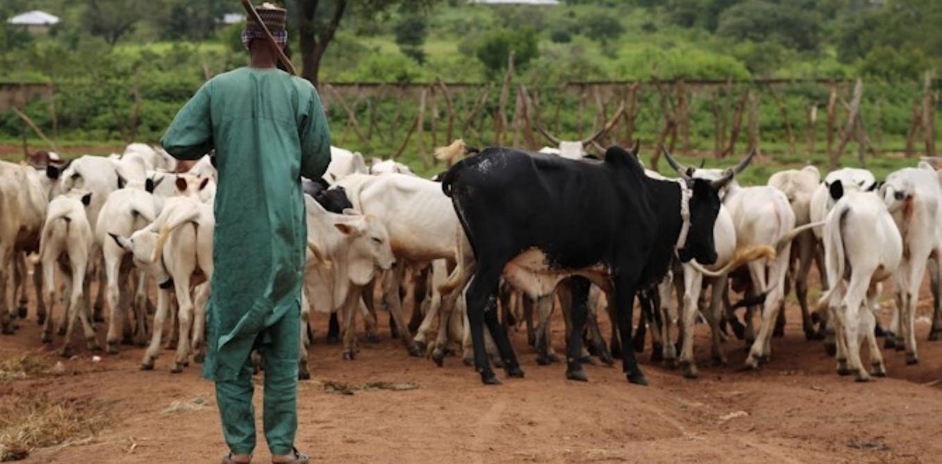 Adaptation au changement climatique en Afrique pendant 10 000 ans : une étude offre des enseignements pour notre époque