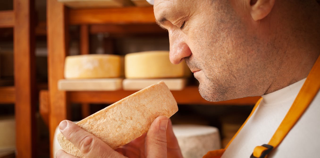 Quand les fromages arrivent en ville