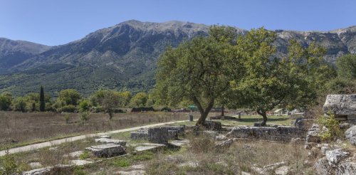 Au lycée, mobiliser la pensée antique pour appréhender la crise environnementale