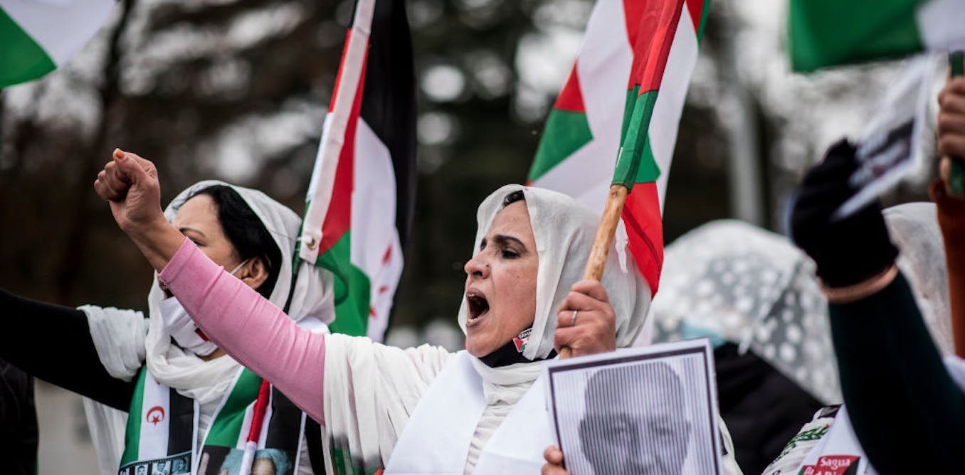 Western Sahara: the six-decade struggle to liberate Africa's last colony thumbnail