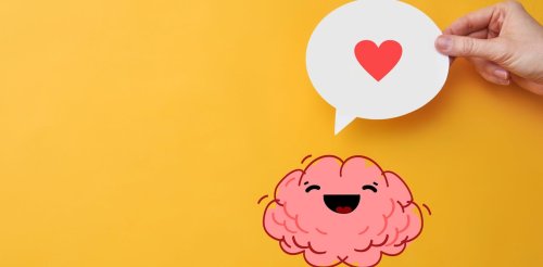« Le cerveau du jugement est inhibé au moment de la passion amoureuse. » Conversation avec Bernard Sablonnière