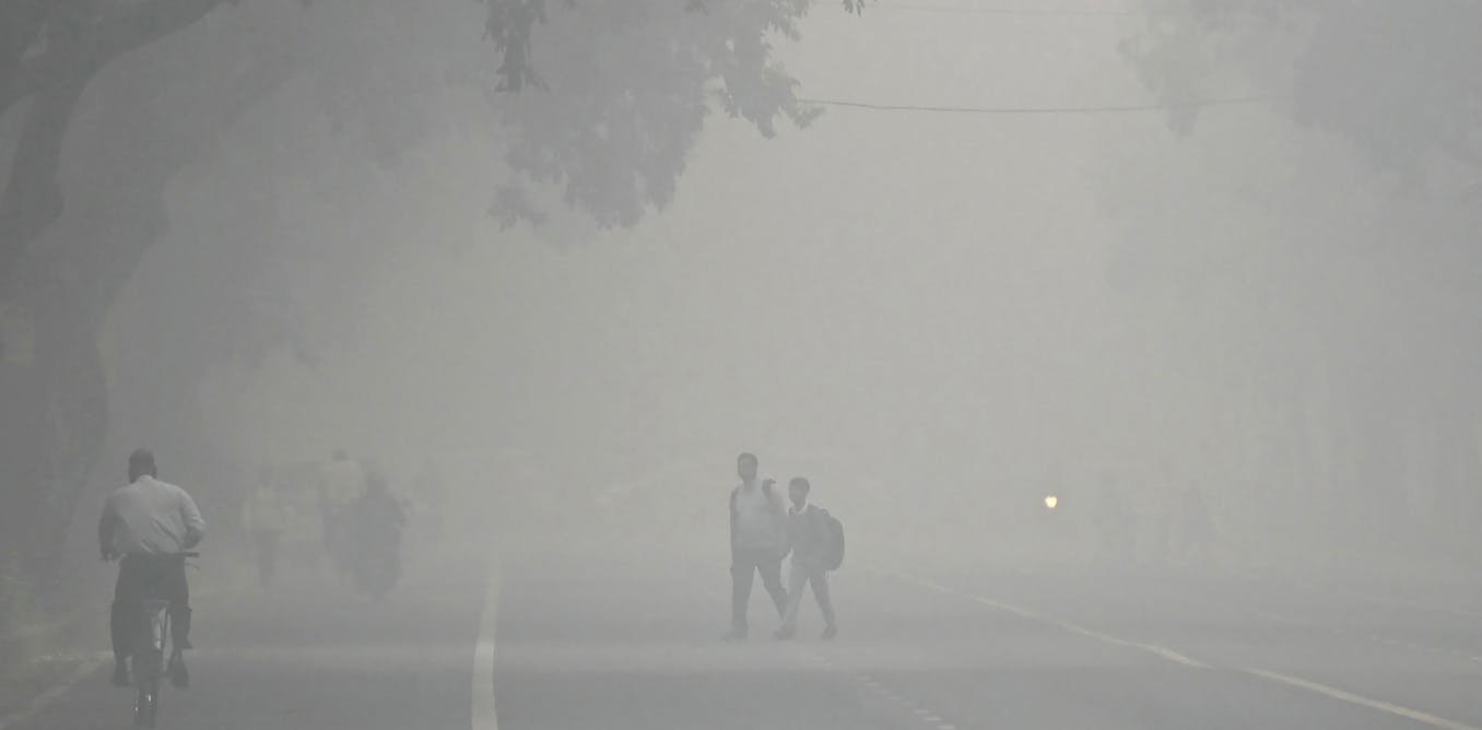Smog à Delhi : la pollution agricole fait tousser la mégapole, mais n’est pas seule responsable