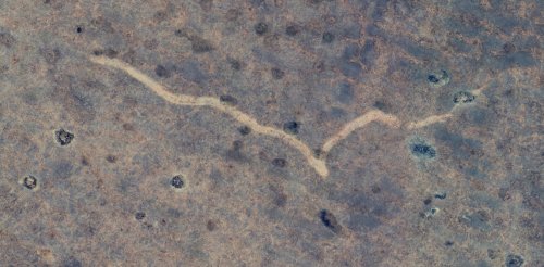 A man scouring Google Earth found a mysterious scar in the Australian outback – and now scientists know what caused it