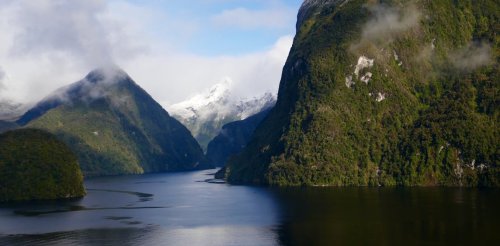 Blue carbon: could a solution to the climate challenge be buried in the depths of fiords?