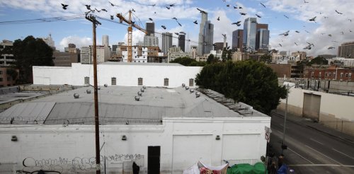 Study: US cities have worse inequality than Mexico, with rich and poor living side by side
