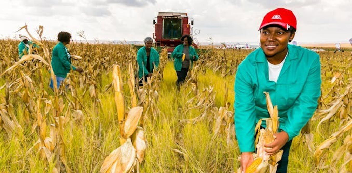 Financement de l’agriculture : un modèle économique identifie la meilleure combinaison pour 10 pays africains