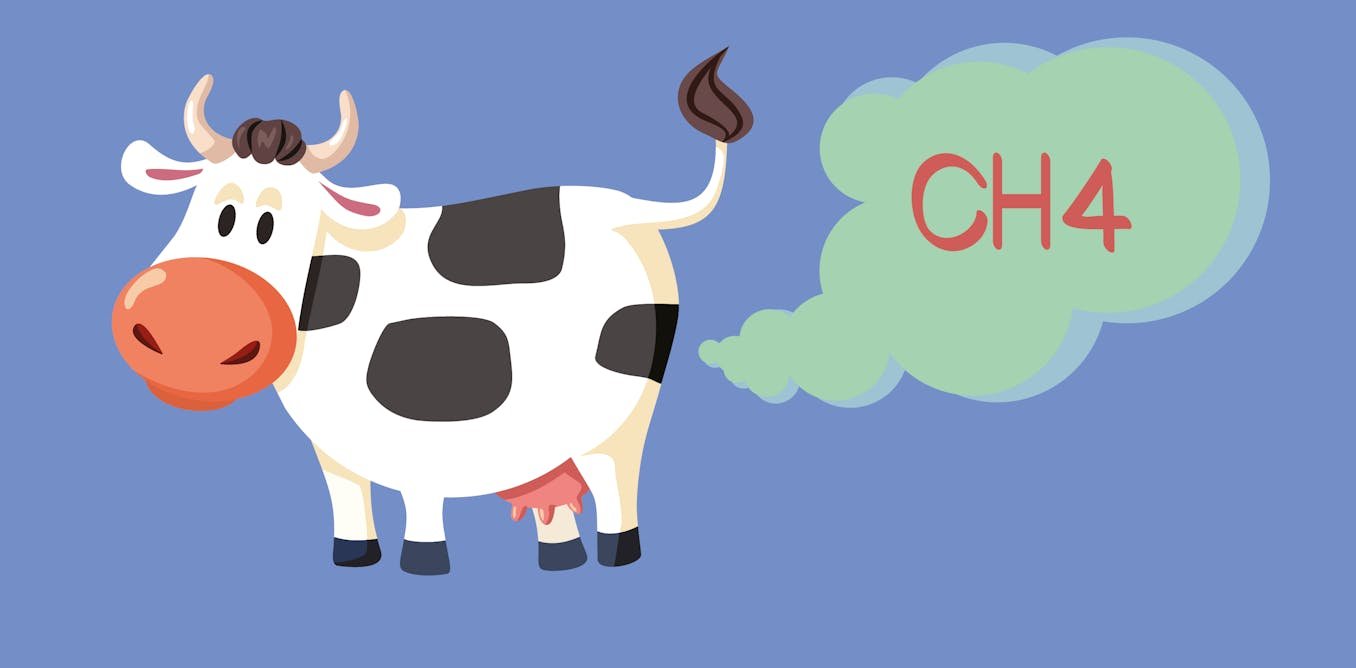 Climat et agriculture : pour éviter le risque de surchauffe, le levier du méthane