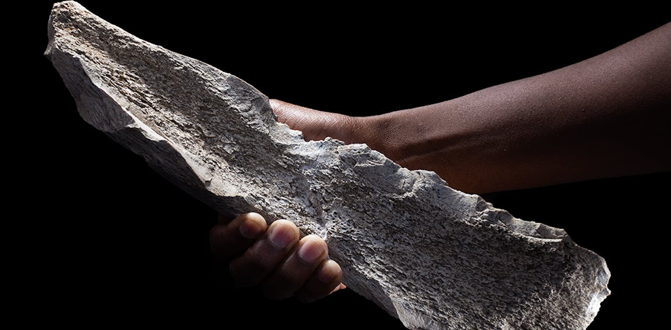 1.5 million-year-old bone tools discovered in Tanzania rewrite the ...