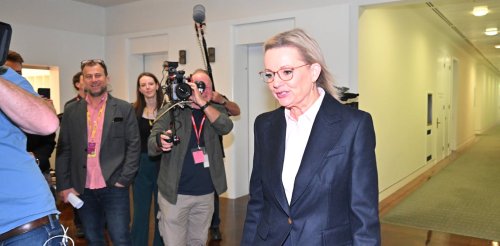 From nuclear to nature laws, here’s where new Liberal leader Sussan Ley stands on 4 energy and environment flashpoints