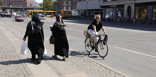 Denmark’s uprooting of settled residents from ‘ghettos’ forms part of aggressive plan to assimilate nonwhite inhabitants