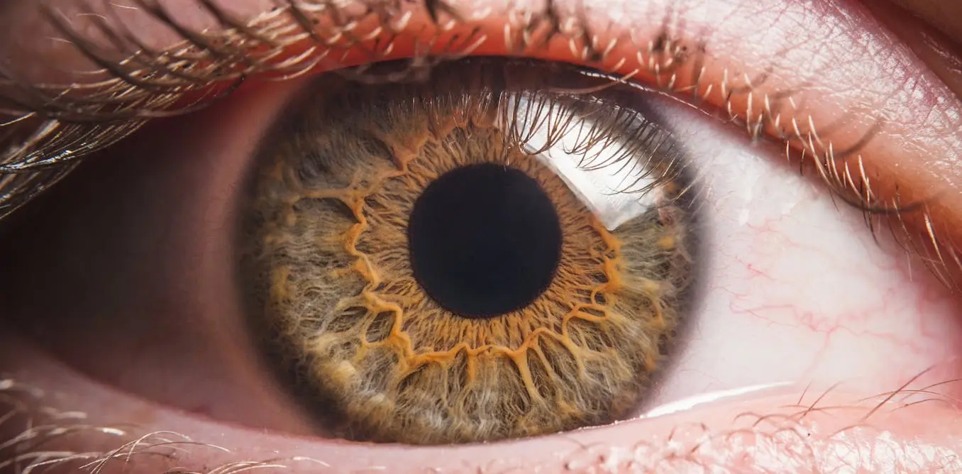 Relevant: Second Look - cover