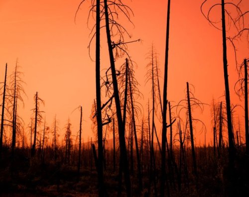 Experts discover new reason that uncontrollable ‘zombie fires’ could rise from the dead: ‘A near-exponential relationship’