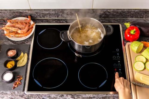 Appliance expert shares candid thoughts on induction stoves after client considers upgrade: 'Frankly, this is a no-brainer'