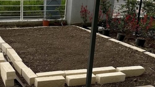 Gardener warned against using common landscaping technique with surprising consequences: 'I won't use them'