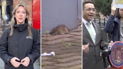 New York implements innovative new strategy to reduce its 3 million-strong rat population: 'You can't let these rats run your life'