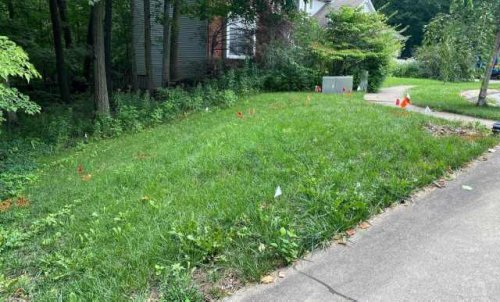 Homeowner shares before-and-after photos after removing ‘useless lawn’ to make room for incredible yard feature: ‘Kudos to you’