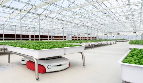 This revolutionary farming startup uses robots and AI to grow food with 90% less water: 'This could be the future of agriculture'