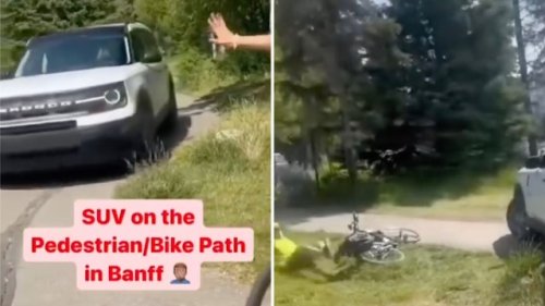 National park visitor sparks outrage with video of SUV driver's shocking move: 'I still don't understand'