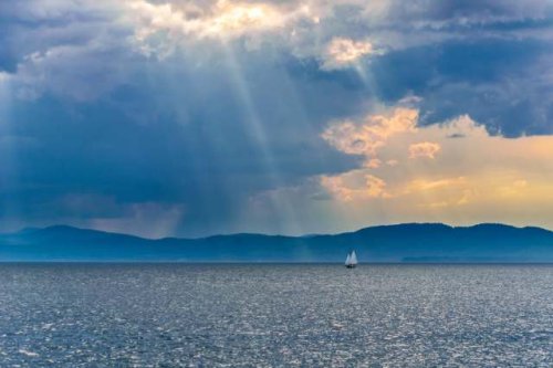 Scientists issue major update on effort to fight off Great Lakes invaders: 'It's exciting'