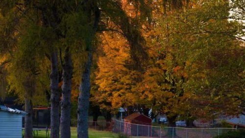 Homeowner stunned after disgruntled neighbor issues audacious legal threat: 'He may do something irrational'