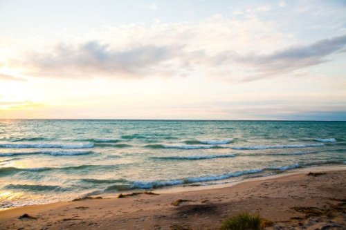 Beachgoer sparks outrage with video of concerning discovery in the sand: 'That's disgusting'